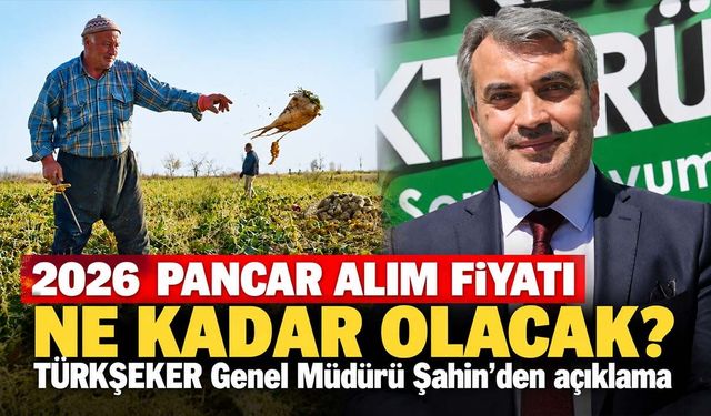 Şeker-Pancar