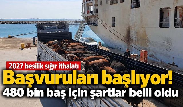 Hayvancılık