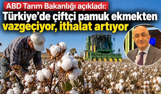 Tarım