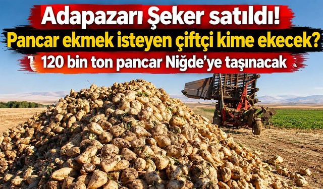Adapazarı Şeker satıldı, pancar çiftçisinin geleceği belirsiz! 120 bin ton pancar Niğde’ye taşınacak