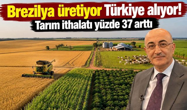 Tarım