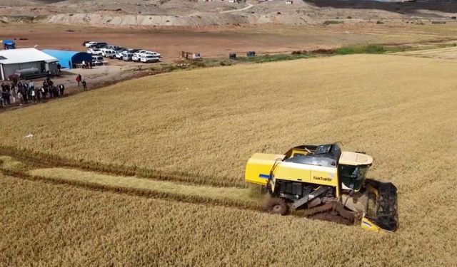 Çankırı havza destekleri 2027: İlçelere göre desteklenen ürünler belli oldu