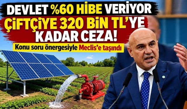 Tarım