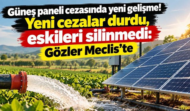 Tarım