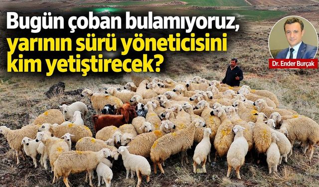 Hayvancılık