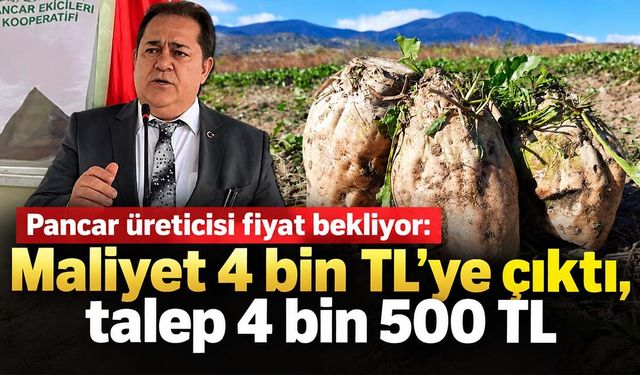Şeker pancarında fiyat çağrısı: 4 bin TL'ye mal oluyor, en az 4 bin 500 TL isteniyor