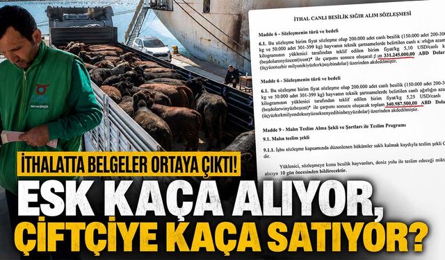 Besilik sığır ithalatında belgeler ortaya çıktı! ESK kaça alıyor, çiftçiye kaça satıyor?