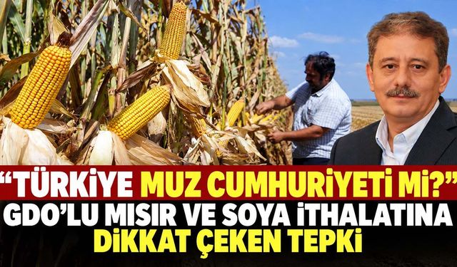 Tarım