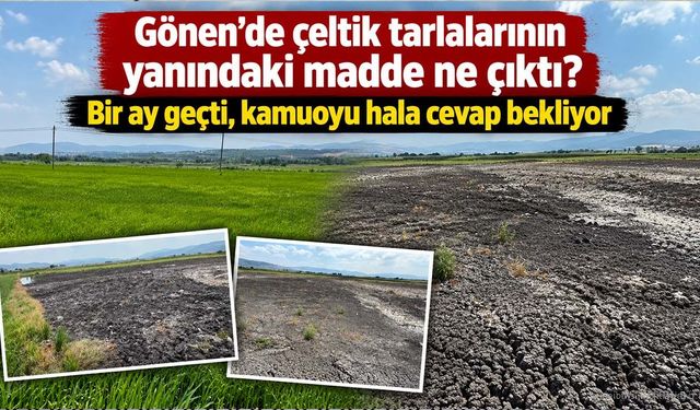 Gönen’de çeltik tarlalarının yanındaki madde ne çıktı? Bir ay geçti, kamuoyu hala cevap bekliyor