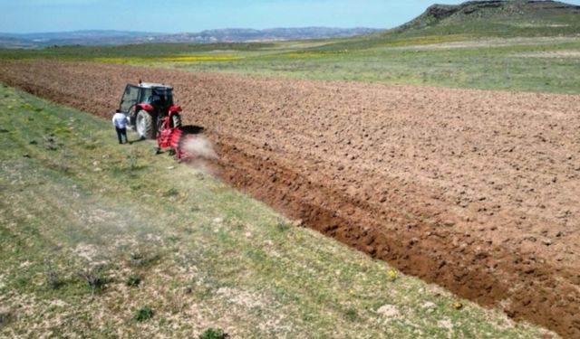 Nevşehir havza destekleri 2027: İlçelere göre desteklenen ürünler belli oldu