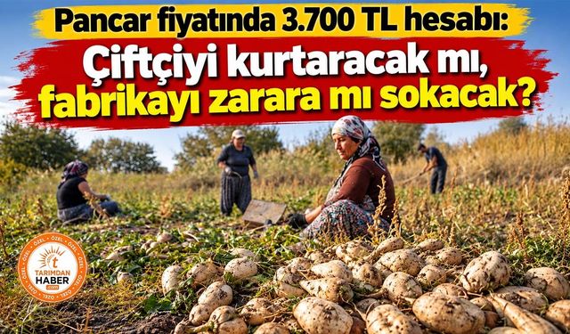 Pancar fiyatında 3.700 TL hesabı: Çiftçiyi kurtaracak mı, fabrikayı zarara mı sokacak?