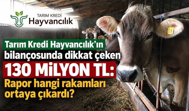 Tarım Kredi Hayvancılık'ın bilançosunda dikkat çeken 130 milyon TL: Rapor hangi rakamları ortaya çıkardı?