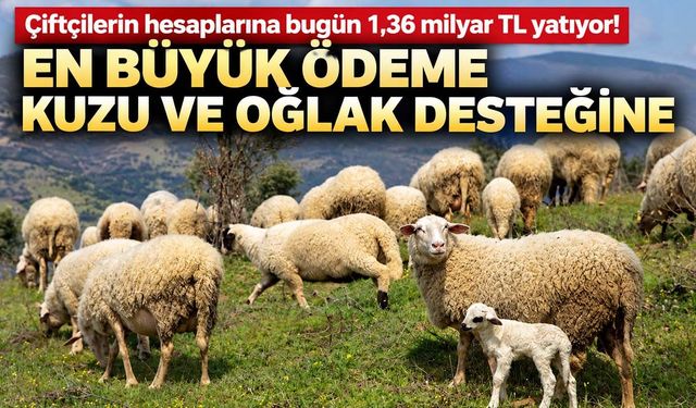 Tarımsal Destekler
