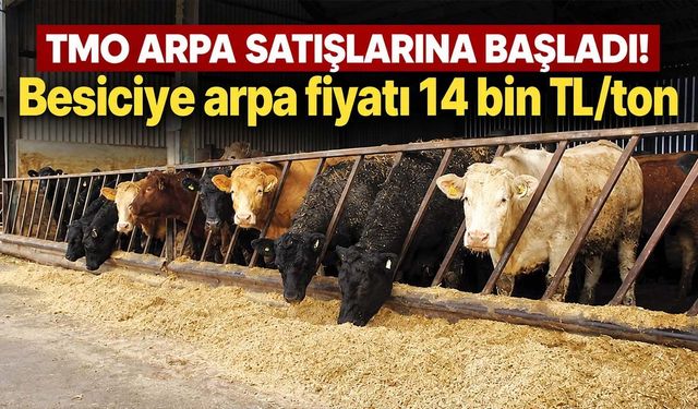 TMO arpa satışlarına başladı! Besiciye arpa fiyatı 14 bin TL/ton