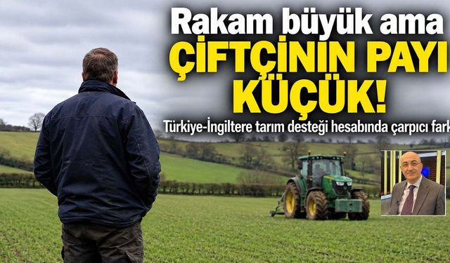 Dünyada Tarım