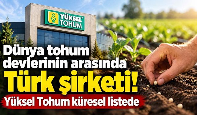 Küresel hibrit sebze tohumu pazarında Türk şirketi! Yüksel Tohum dünya devleriyle aynı listede