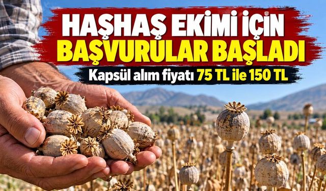 TMO Haberleri