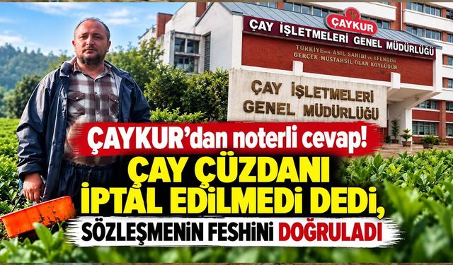 Rize