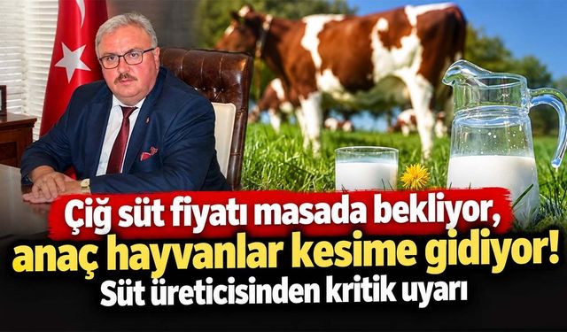 Hayvancılık