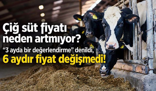 Hayvancılık