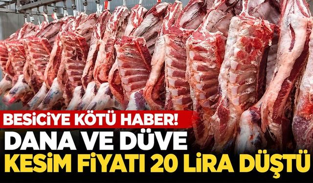 Et fiyatları