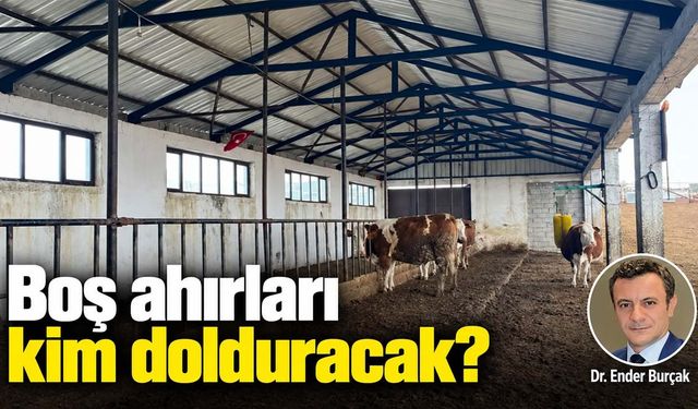 Hayvancılık