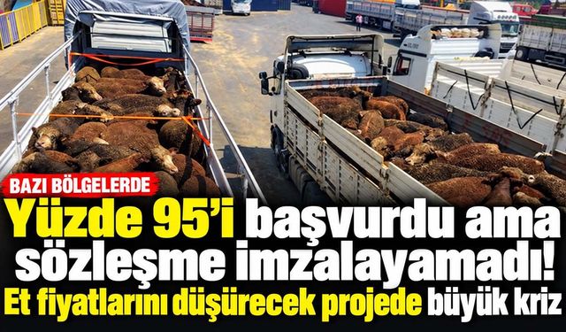 Hayvancılık