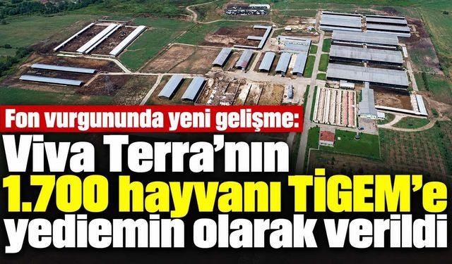 TİGEM Haberleri