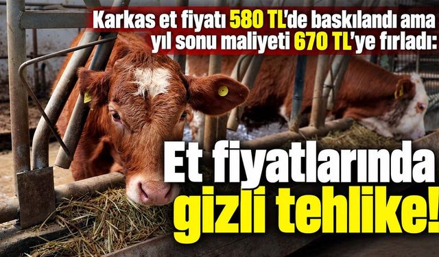 Hayvancılık