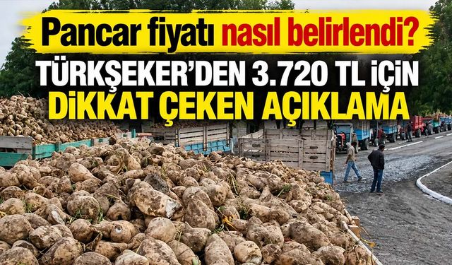 Şeker-Pancar