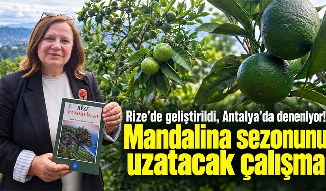 Rize