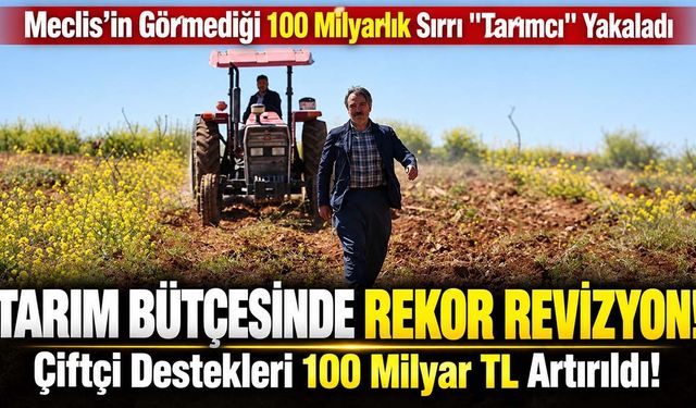 Tarımsal Destekler