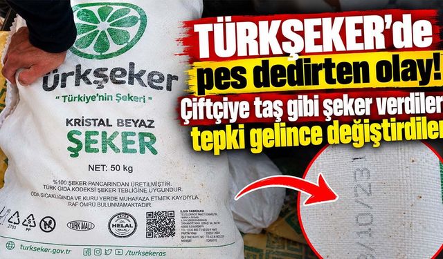 Şeker-Pancar