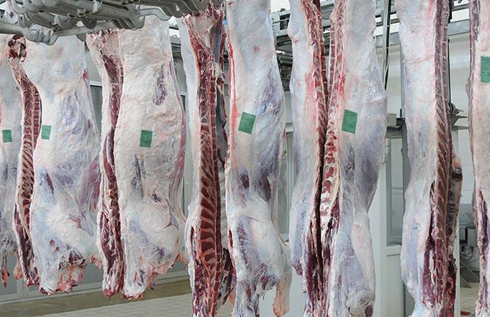 Et fiyatları bu haftayı kaç liradan kapattı? Dana kesim 242 lirada sabit kaldı kuzu kesim fiyatı 5 lira arttı!