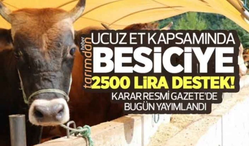 Besiciye hayvan başına 2500 lira destek!