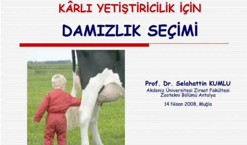 Holstein ırkında damızlık seçimi