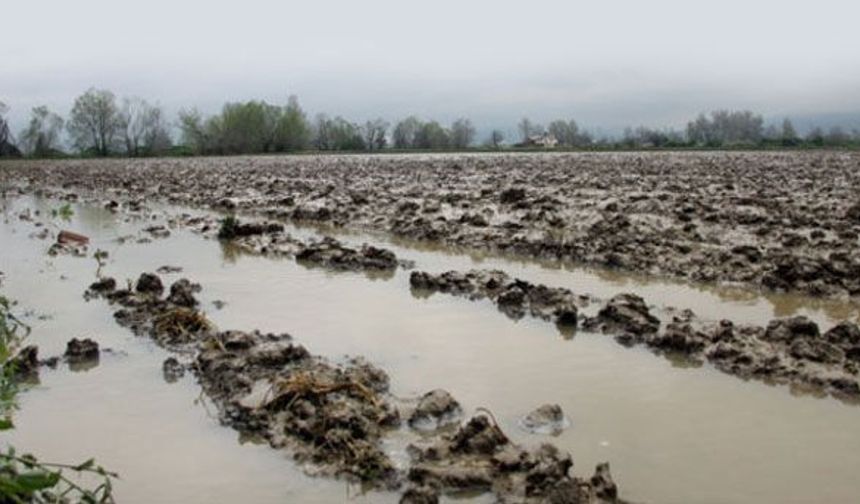 Yağmur duasına çıktılar, araziler sular altında kaldı