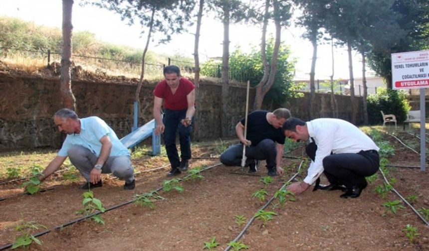 Bingöl'de ata tohumları toprakla buluştu