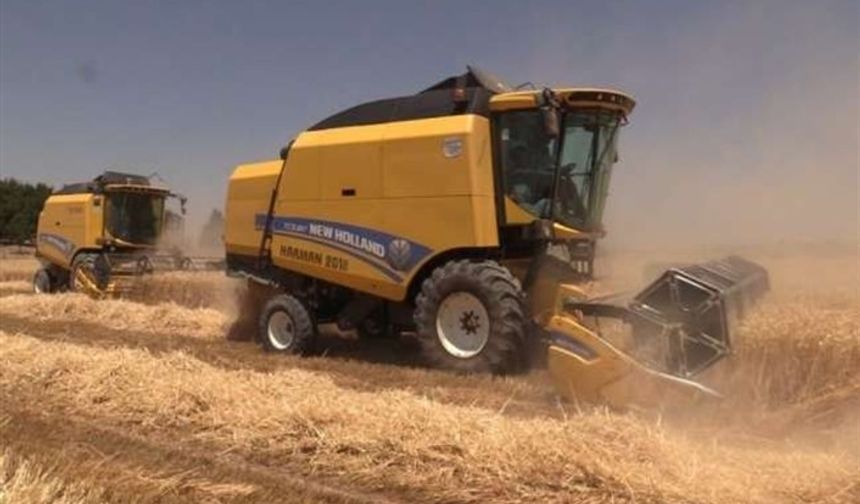 Şanlıurfa'da yerli tohumda ilk hasat yapıldı