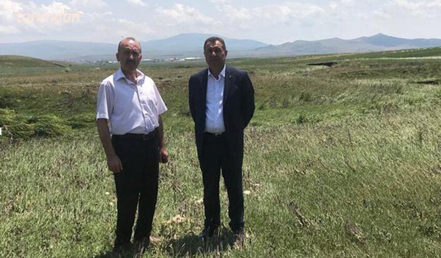 Tarım İl Müdürü: Zarar gören tarım alanlarında inceleme yaptı