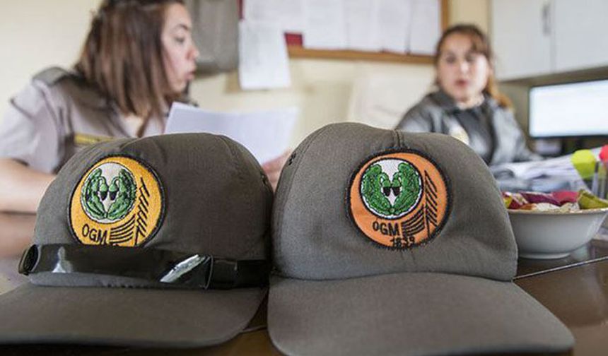 Orman Genel Müdürlüğü ne zaman personel alacak? Resmi Gazete'de yayımlandı