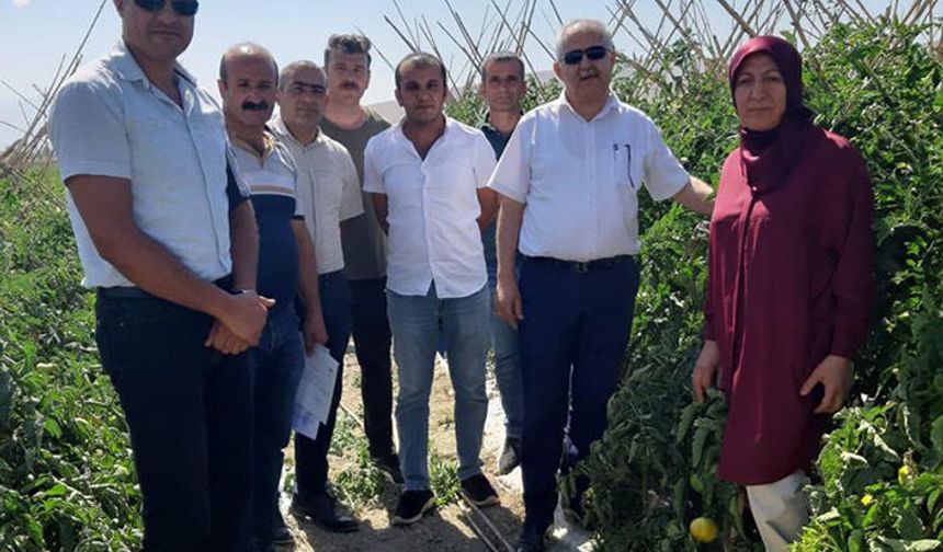 Van Tarım İl Müdürlüğü: Tarla Günü tertipledi