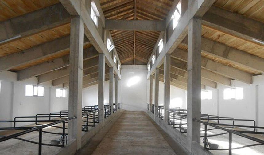 Ordu’da 108 tane ahır yapılacak