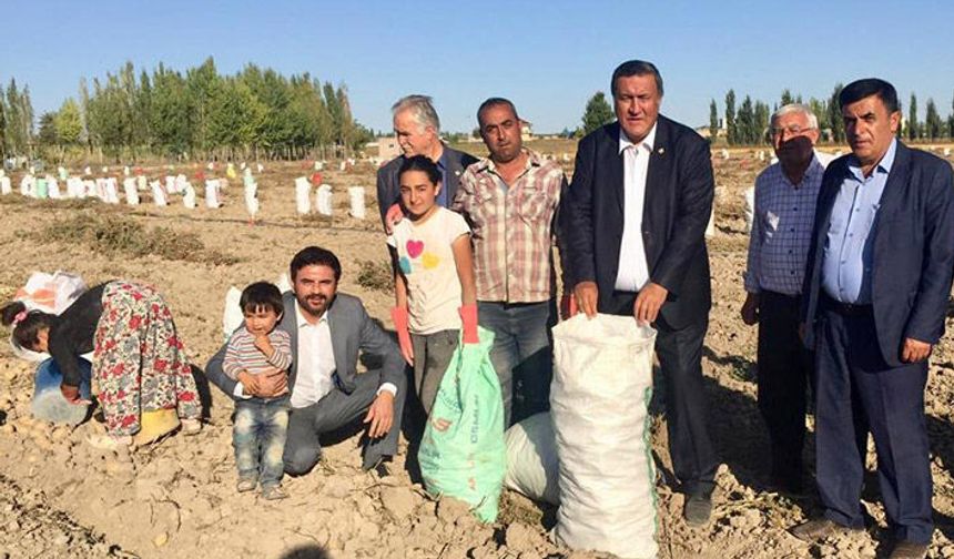 Patates üreticisi zor durumda