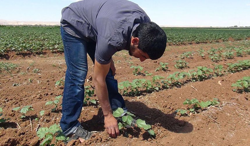 AFAD’tan: Çiftçilere Tarsim çağrısı!