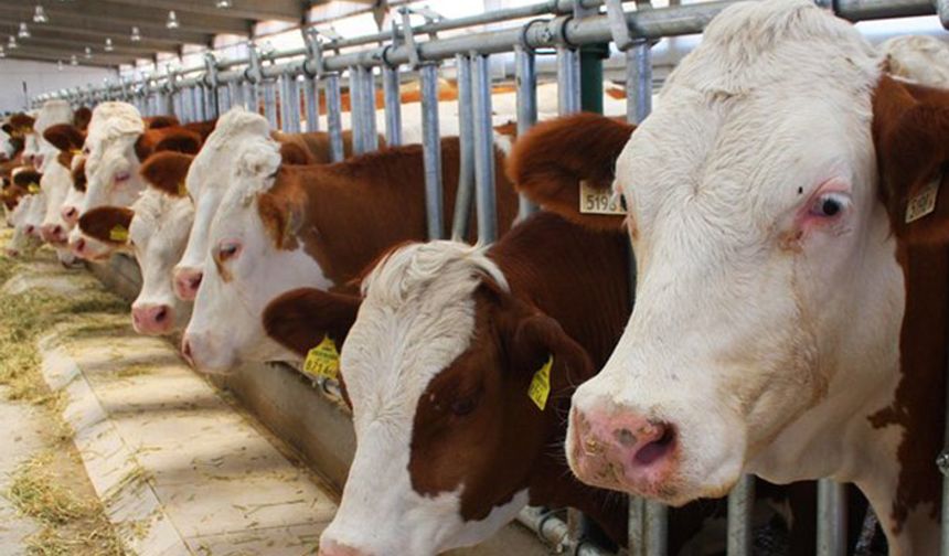 Erdurmuş: Tarım artık yapıcı kararlar alınıyor