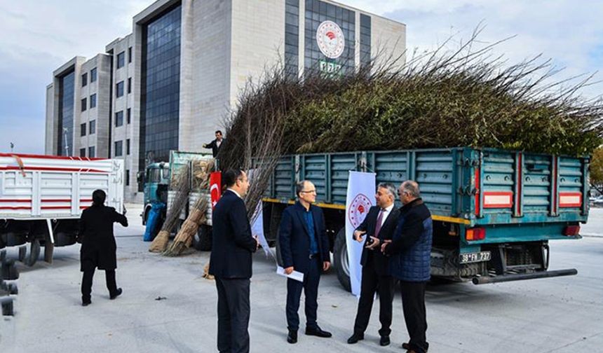 Süneye karşı 150 bin fidan dağıtılacak