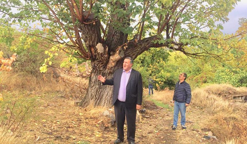 Örnek köy seçilen Katrancı sahipsiz kaldı!