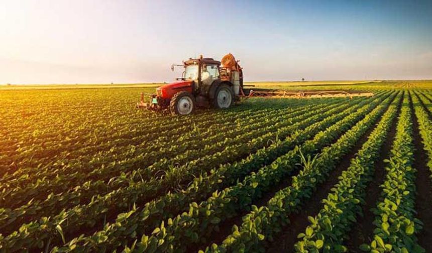 Tarım İl Müdürlüğünden Tarsim uyarısı: 2020 yılı uygulamaları belli oldu