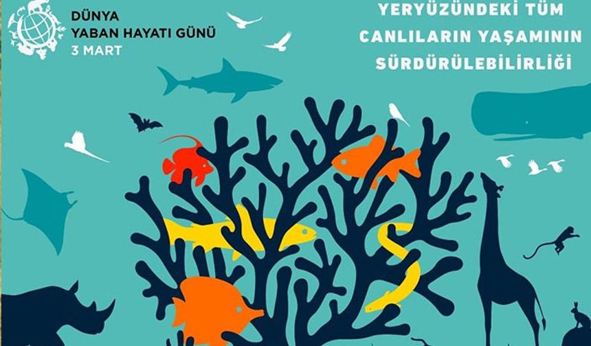 Kars Veteriner Hekimler Odası: Yaban hayatın ticaretinin yasaklanmasından yanayız